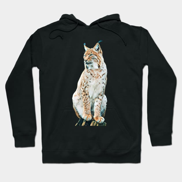 Lynx - Woodland Themed Kids Room, Funny Gifts For Forester, Cute Animals Hoodie by Shirtsmania